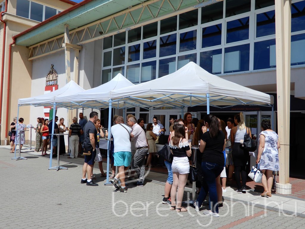 Semmelweis napi party 05